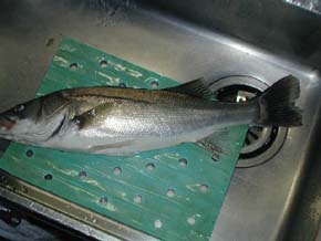 �Ƃ������X�Y�L�H